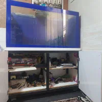 اکواریوم