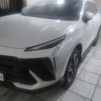 لاماری هیبریدی خشک ۲۰۲۵سنددست اول