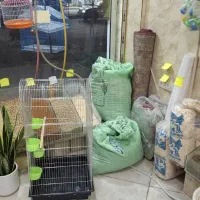 پت شاپ نوک طلا|لوازم جانبی حیوانات|رشت, معلولین|دیوار