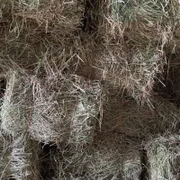 یونجه پرس انباری چین ۳|لوازم جانبی حیوانات|اراک, |دیوار