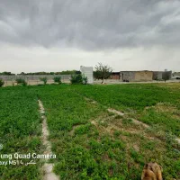 مزرعه پرورش اسب (باشگاه سوارکاری )|فروش دفتر صنعتی، کشاورزی، تجاری|رباط‌کریم, یقه|دیوار