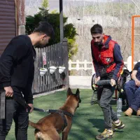 مربی سگ های خانواده و کار|خدمات آموزشی|گرگان, |دیوار