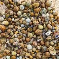 بهترین شجر سوسنی واسه گوهرتراشان