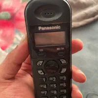 تلفن پاناسونیک|تلفن رومیزی|رشت, کاکتوس|دیوار