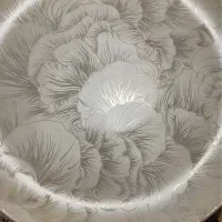 آرکوپال برند پارس اوپال درجه یک