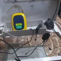 آکواریوم بزرگ درحد نو|ماهی|قروه, |دیوار