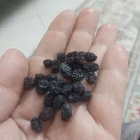 کشمش درجه یک تمیز|خوردنی و آشامیدنی|ساوه, |دیوار