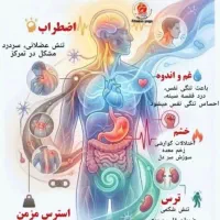 آموزش انواع سبک ماساژ