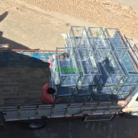 قفس|لوازم جانبی حیوانات|بجنورد, |دیوار