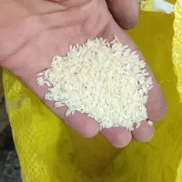 برنج عنبر بو تازه تمیز معطر|خوردنی و آشامیدنی|قم, آذر (نکویی)|دیوار