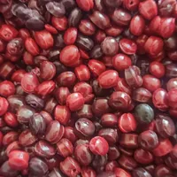 آگهی استخدام