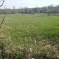 فروش زمین در نصیرآباد