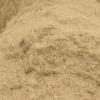 فروش کاه سفید