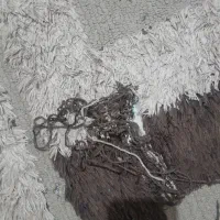 ۶متری|فرش|چهاردانگه (تهران), |دیوار