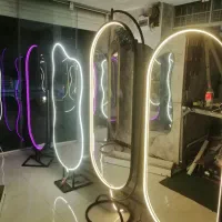 آینه قدی|آینه|اصفهان, باغ فردوس|دیوار