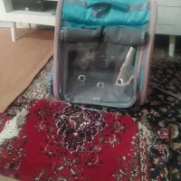 کوله سگ وگریه نو