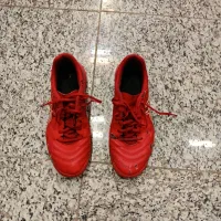 کفش سالنی|کیف، کفش، کمربند|اردبیل, |دیوار