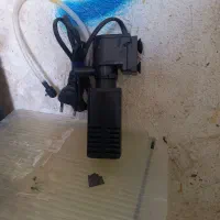 آکواریوم و وسایل فروشی.|ماهی|فسا, |دیوار