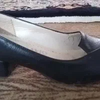 کفش سایز ۳۷
