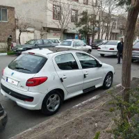 206پانا رخ 207 استثنای