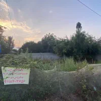 ۳۰۰ متر زمین مسکونی دو بر|فروش زمین و ملک کلنگی|گوراب زرمیخ, |دیوار