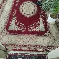فرش شش متری|فرش|سبزوار, چهارراه فرودگاه|دیوار