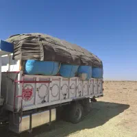 کاه لوبیا چیتی