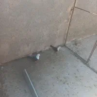 کفترجفتگاه