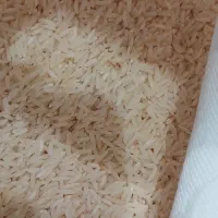 برنج هاشمی صاف