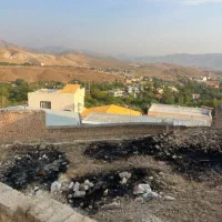 زمین داخل بافت با سند تک برگ
