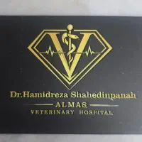 منشی بخش آی تی