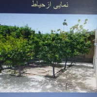 اجاره شهرک فرهنگیان ویلایی