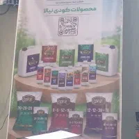 استخدام کارمند