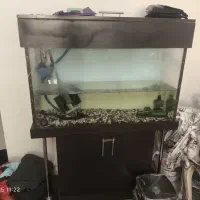 آکواریوم با لوازم وغذای ماهی