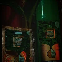 شامپو رنگ مو