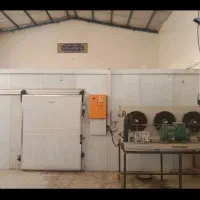 سردخانه ۴در۷  سردخانه ۵ در ۱۰