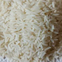 برنج هاشمی معطر درجه یک از  آستانه  اشرفیه|خوردنی و آشامیدنی|پردیس, فاز ۲|دیوار