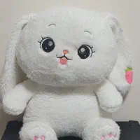 عروسک پولیشی