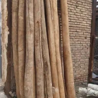 حدود 2 تن چوب سقفی سالم