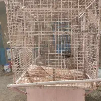 گاری|فروشگاه و مغازه|خاش, |دیوار