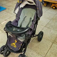 کالسکه و کریر دلیجان نو|کالسکه و لوازم جانبی|تهران, باغ خزانه|دیوار