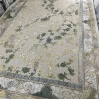 ۱۲۰۰ شانه های بینظیر