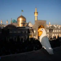 تور مسافرتی مشهد