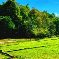 زمین با سندشش دانگ شمالی/آینده دار