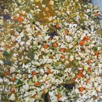 سبزیجات خانگی|خوردنی و آشامیدنی|تهران, افسریه جنوبی|دیوار