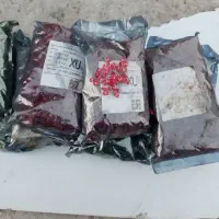 تعداد بسته های لامپ ال ادی