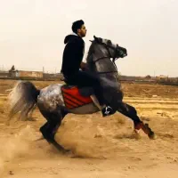 نریان فروشی