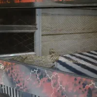 بخاری گازی در حد نو|بخاری، هیتر، شومینه|بابل, |دیوار