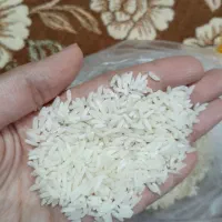 برنج هاشمی تازه