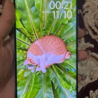 آدمی نوت ۱۴پرو|موبایل|بم, |دیوار